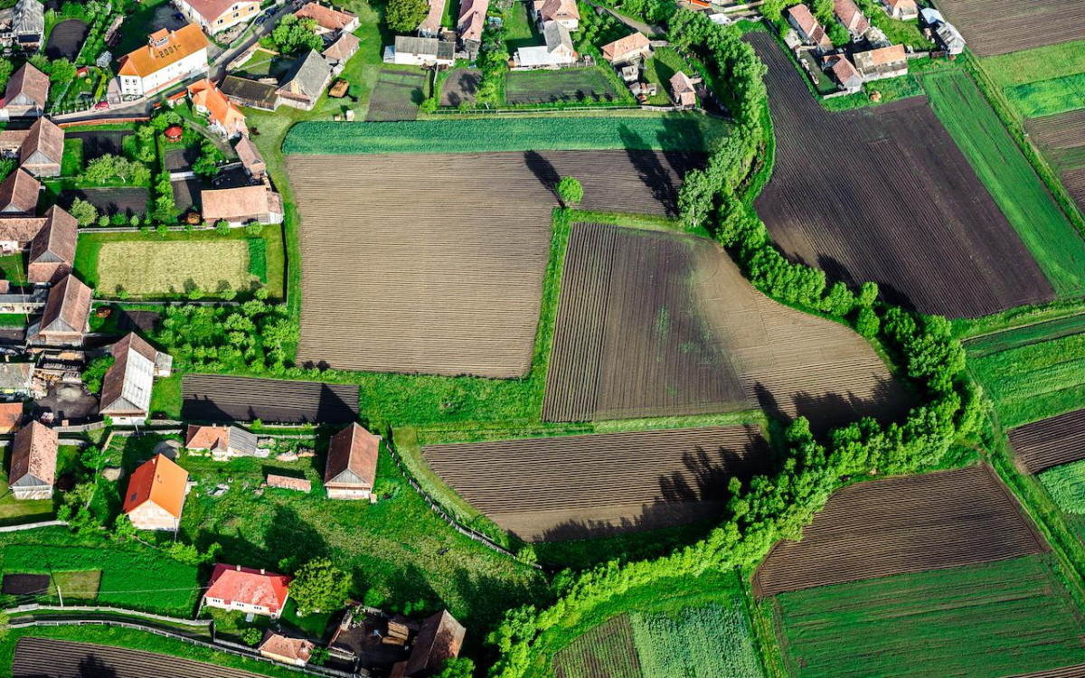 Названы округа Подмосковья — лидеры по росту цен на земельные участки