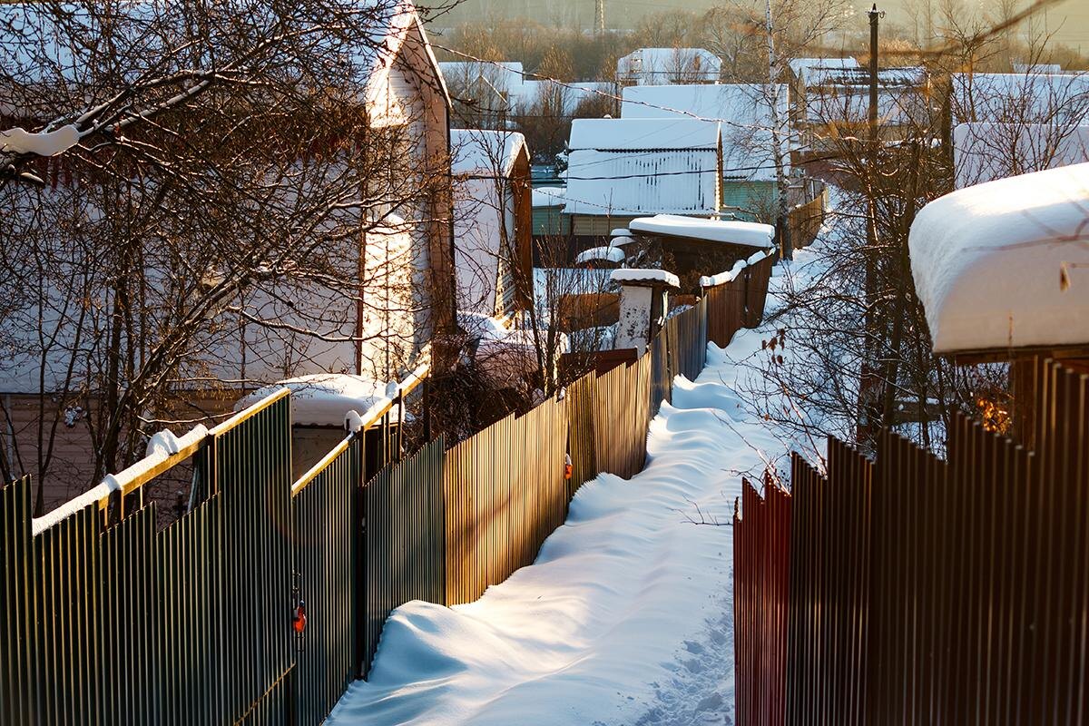 1 марта заработает закон об освоении земли: когда могут изъять участок