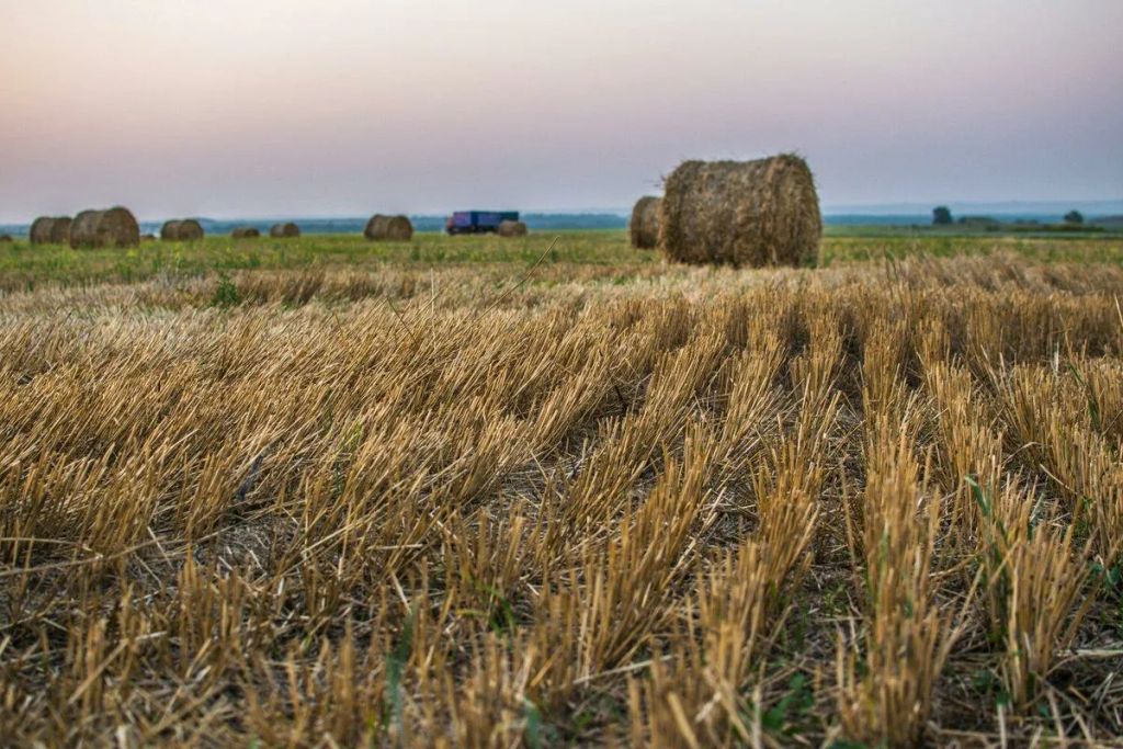 Основные ограничения на строительство и возможности использования их по назначению