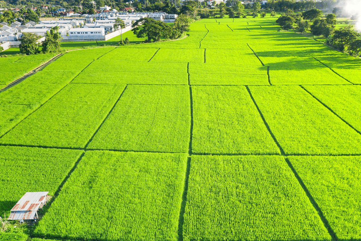 Документы и оформление сделки: как правильно купить участок ИЖС