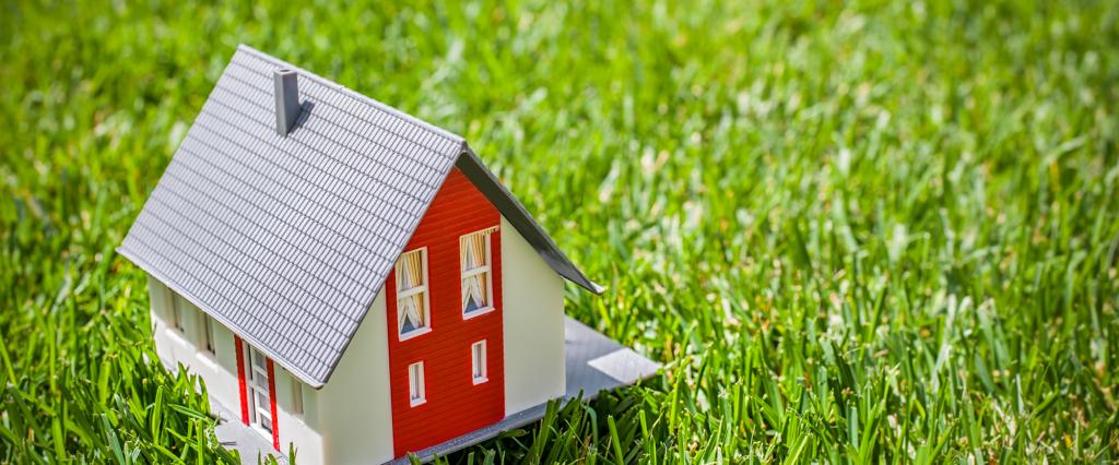 Перевод земли из сельхозназначения в ИЖС: пошаговая инструкция