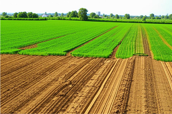 5 основных видов назначения земель и их характеристики