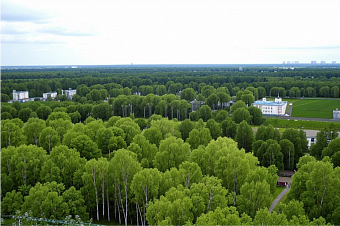 Как правильно выбрать и оформить земельный участок в Подмосковье