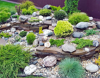 Что такое рокарий и почему он так популярен?